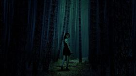 鬼月,陰森,樹林,森林,山路（圖／翻攝自pixabay）