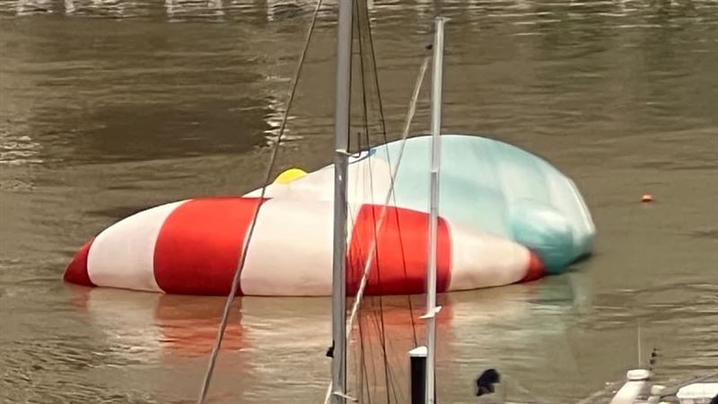 愛河小小企鵝消風　網笑：命案現場