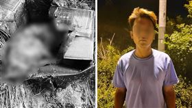 惡男羅德智改姓網路認養貓咪虐殺，至少6貓受害。（圖／翻攝新竹縣流浪動物珍愛協會臉書）