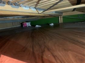 花飯店價住民宿雷爆　整地全都是毛（圖／翻攝畫面）