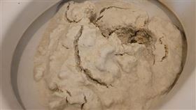 有網友分享，把貓砂沖馬桶的悲劇。（圖／翻攝自貓咪也瘋狂俱樂部 臉書） 