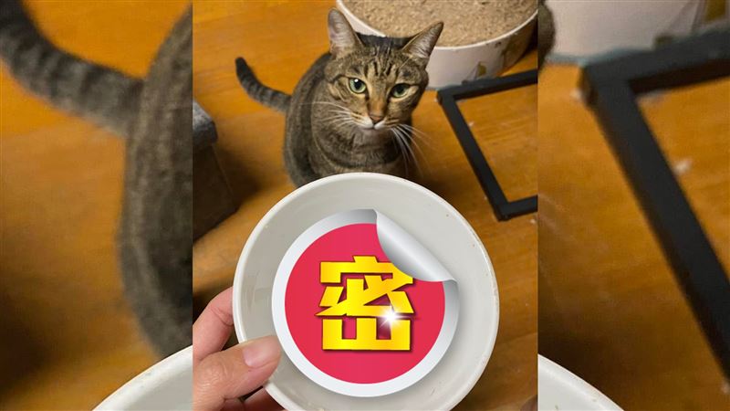 貓嗑小魚乾竟不吃「它」！內行曝原因