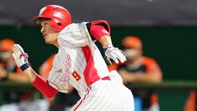 味全龍捕手林辰勳。（圖／味全龍提供）