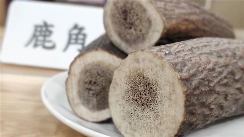 一生只做這中藥材　他畢生積蓄全投入