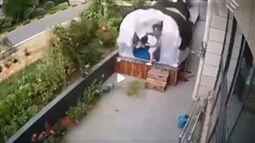 風速,大陸,花店,員工,磚頭,命案,風https://weibo.com/5753780491/LFV7LBLtp?refer_flag=1001030103_&layerid=4799910379000627