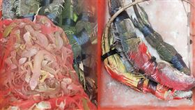 原PO抓到一大桶綠鬣蜥。（圖／翻攝自《爆料公社二社》）