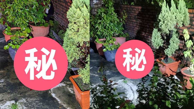 驚悚爬蟲類出沒！萬丹居民嚇死了