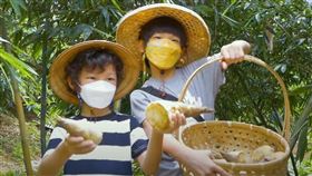 新北農業局綠竹社區(業配勿用)