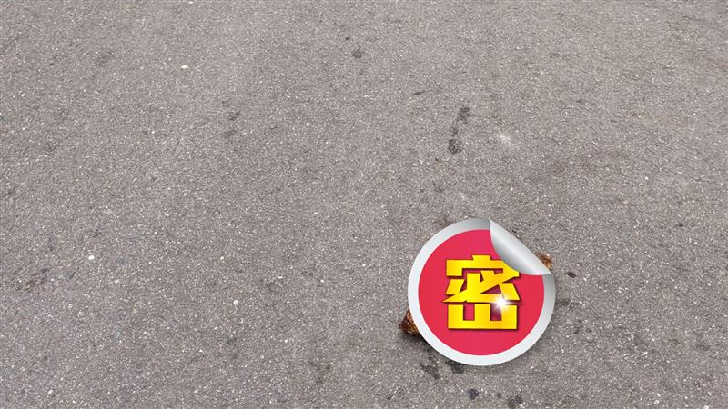 誰的駕照掉路上？網見身份驚呆