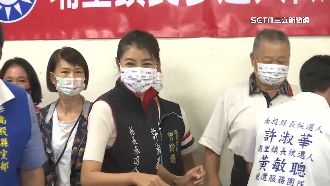 蔡培慧砲轟許淑華論文：抄襲達71%