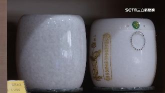 獨／志工加入柬埔寨救援　盼救台灣人