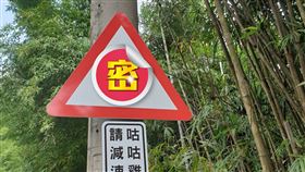 公雞,警告,台南