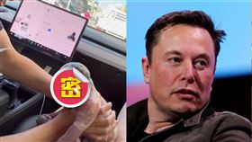 特斯拉寶寶,馬斯克,懷孕