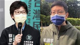 王浩宇指出蔡壁如的論文涉及抄襲。（圖／翻攝自王浩宇、蔡壁如臉書）