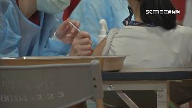 h暑假返疫苗1200