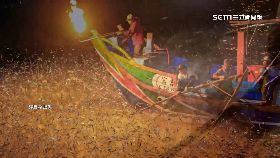 文 北海現青鱗1800