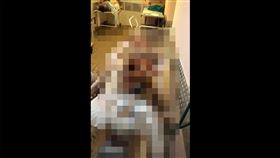 網傳柬埔寨強摘器官　影片真正來源曝（圖／翻攝自mygopen）