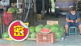 西瓜,文案,老婆,小三,情人