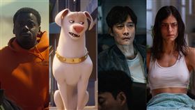 本週新片。（圖／車庫娛樂、華納兄弟、UIP提供）