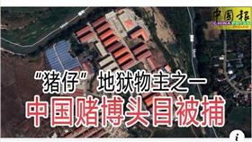 GASO國際反詐騙組織(圖/翻攝自GASO國際反詐騙組織),KK園區