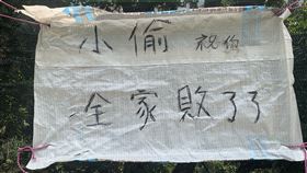 霧峰桐林山區，偷摘龍眼頻傳，農民立警告標語：小偷全家敗了了，警告(圖／李天生提供)