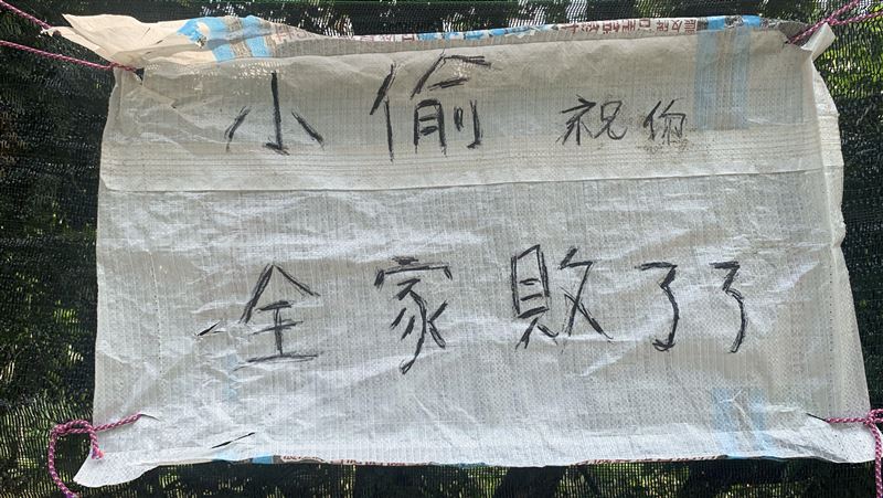 咒小偷全家敗了了　果農爆氣詛咒警告