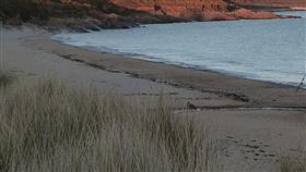 海邊,海灘。PIXABAY