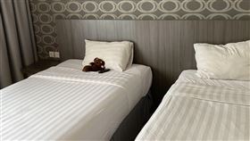 米拉分享它的泰迪玩偶。（圖／翻攝自@chocolatadisco twitter）