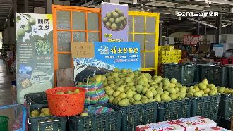 中國禁輸入台食　食藥署控差別待遇