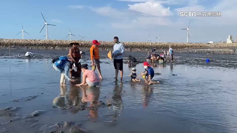 彰化肉粽角現挖蛤盛況　自摸每斤百元