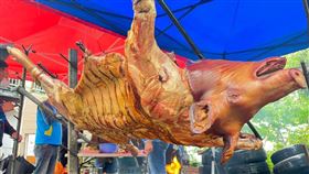 COVID-19疫情持穩，南投原住民烤大豬接單量漸回流，有業者15日表示，前2年疫情期間接單量急降為0，所幸今年漸恢復，中秋檔期接單12隻已滿。（圖／南投縣原民局提供）