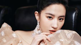 劉亦菲登上「微博電影之夜」紅毯。（圖／翻攝自劉亦菲微博）