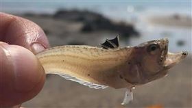 蜘蛛魚＼https://twitter.com/NCISTIVES/status/1555152807325569030/photo/1