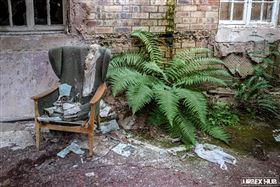 英國一位26歲的攝影師，專門去探索、拍攝廢墟的照片，近日他因為在一座1997年被廢棄的醫院裡，拍攝到一組略顯驚悚的照片而在網路上走紅，照片中不僅有破敗的醫院，還有一隻雙眼流下「藍色眼淚」的洋娃娃。
圖/urbexhub.com/