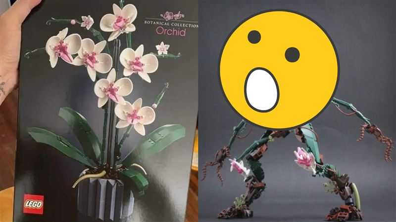 他把蘭花積木變這樣　成品網看跪了