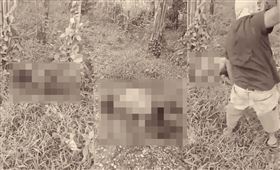 柬埔寨「逃跑台人被虐殺」？斷手腳血腥畫面瘋傳　真相曝光。MyGoPen麥擱騙