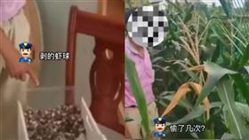 （圖／翻攝自水木視頻）