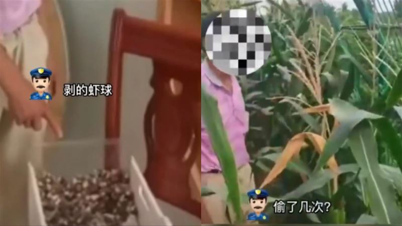 爺為孫連闖養殖場！偷50公斤小龍蝦