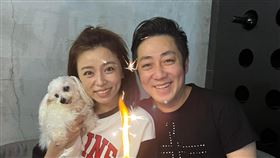 艾成生前曾說過，如果有天離開最不捨Haru（毛小孩）跟王瞳。（圖／翻攝自艾成IG）