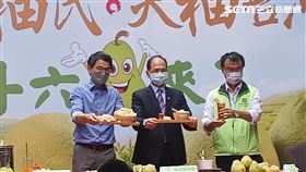 雲林縣柚農今（17）日在立法院舉辦「護國柚民 天柚台灣」記者會，行銷斗六文旦。（圖／記者盧素梅攝影)