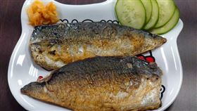 鯖魚(新北市政府漁業處提供)