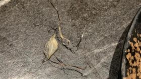 原PO用餐食吃到4條鋼絲。（圖／翻攝自《爆怨公社》）