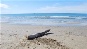 漂流木，海邊（示意圖／翻攝自pixabay）