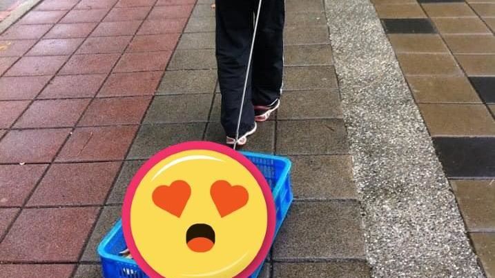 女子遛「神級寵物」網笑：傳家寶等級