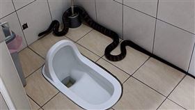 有網友急著想上廁所，眼前一幕卻讓他崩潰了。（圖／翻攝自爆廢公社 臉書）