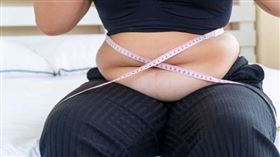 三字經,柬埔寨,詐騙,減重團隊,假日,柬埔寨詐騙爆料大小事