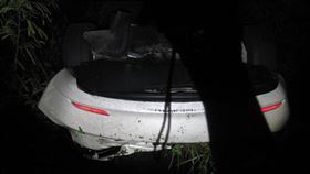 台南,特斯拉,台86,自動駕駛,防風林,打嗑睡