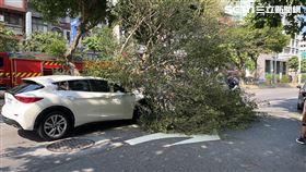 台北市內湖區驚傳路樹倒塌，知名球星陳世念愛車遭砸毀。（圖／翻攝畫面）