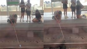 台鐵,長夾,掉落,鐵軌,手機(翻攝自 抖音)