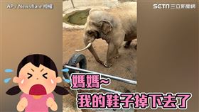 （圖／AP／Newsflare 授權）